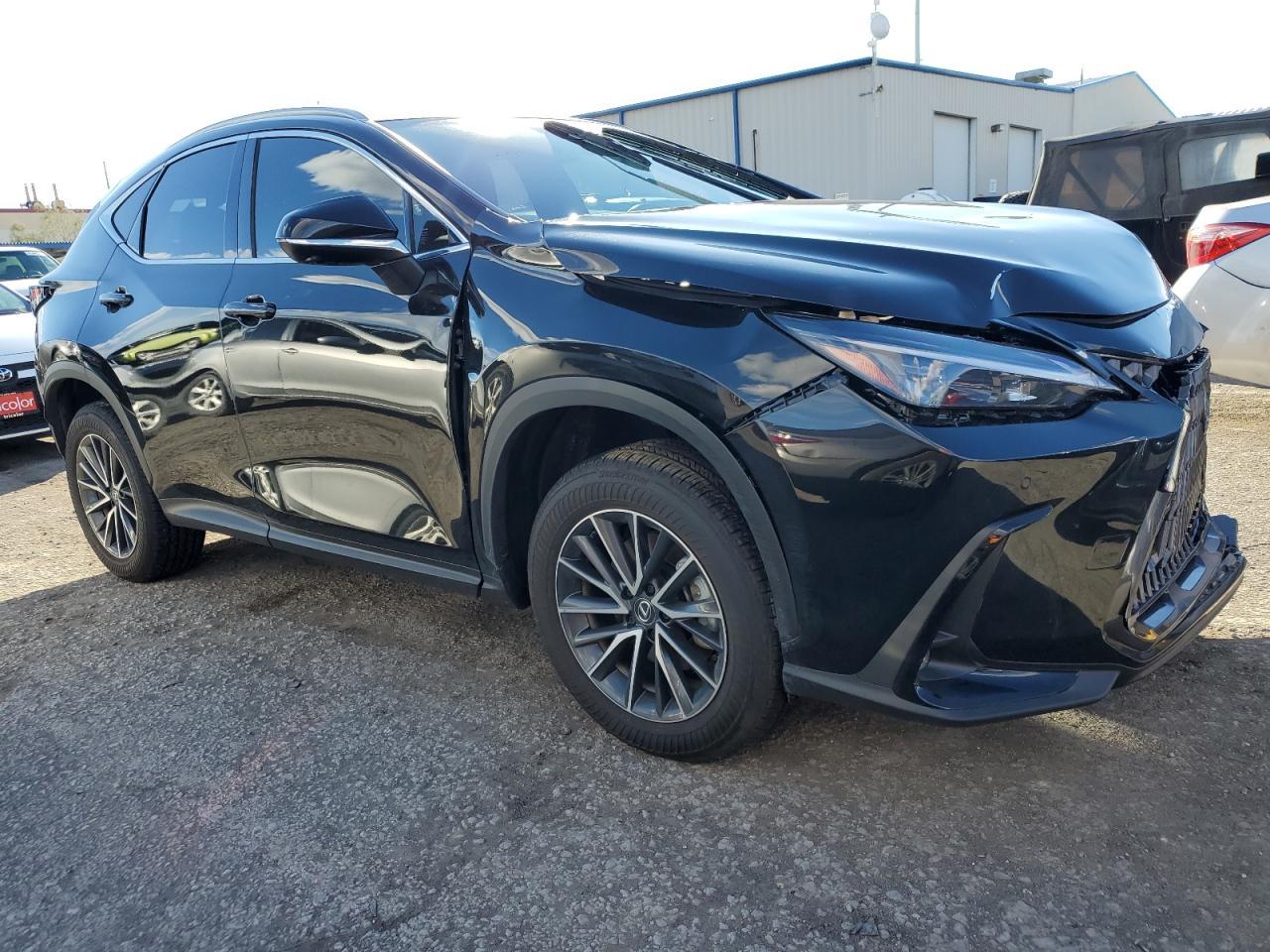 2024 LEXUS NX 350H BA - Фото 4