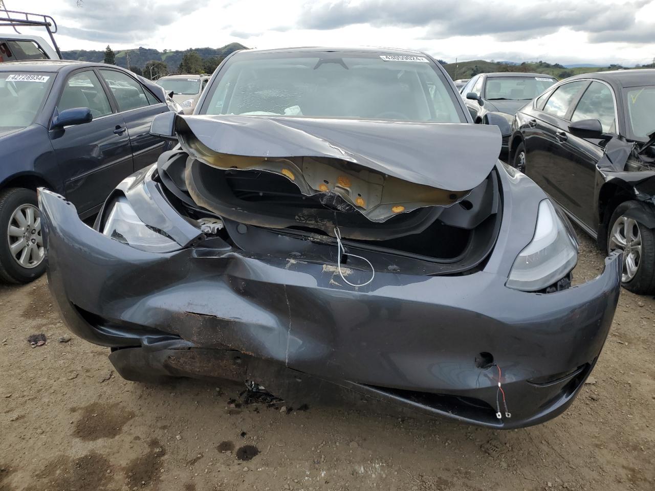 2023 TESLA MODEL Y - Фото 5