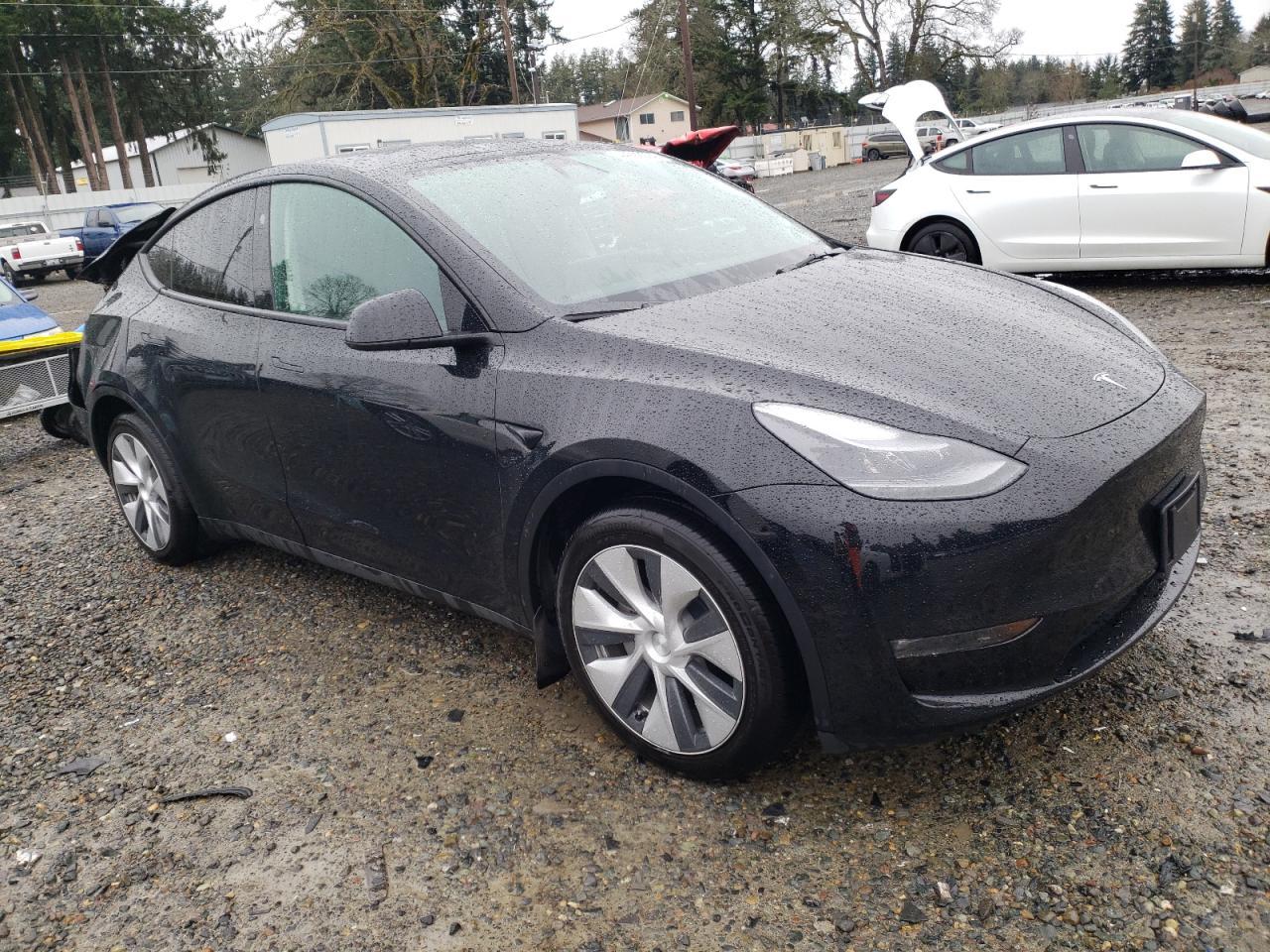 2023 TESLA MODEL Y - Фото 4
