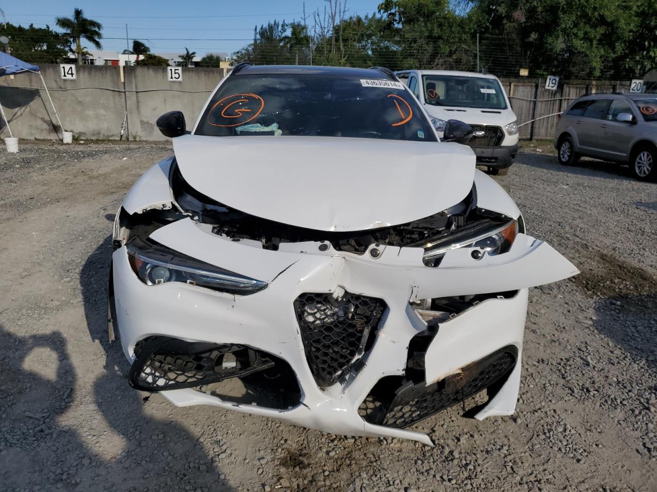 2019 ALFA ROMEO STELVIO TI - Image 5