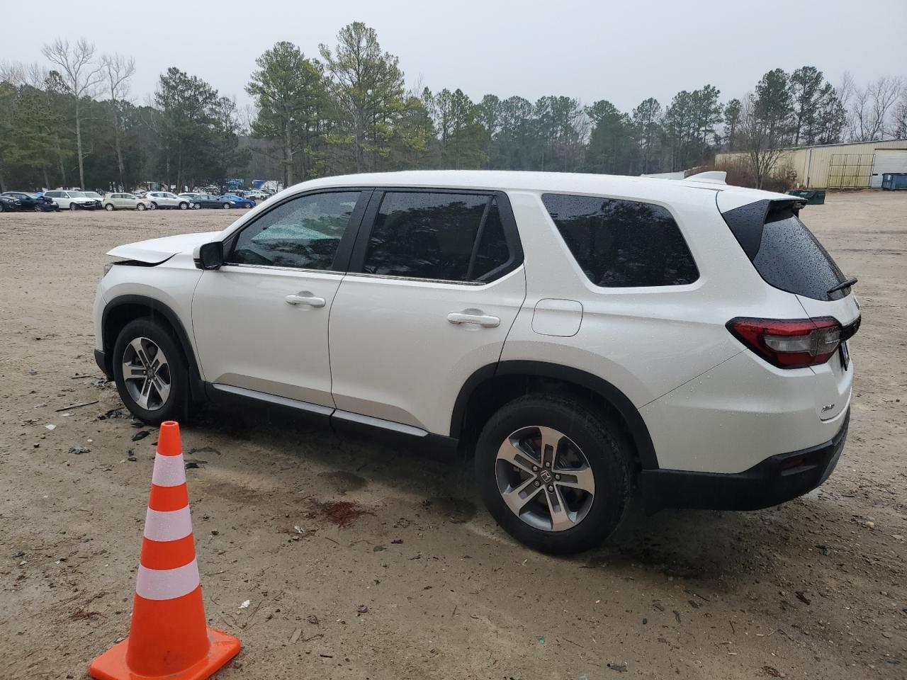 2024 HONDA PILOT EXL - Image 2