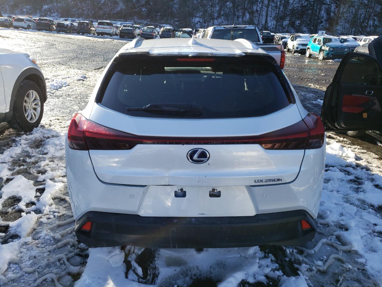 2020 LEXUS UX 250H - Фото 6