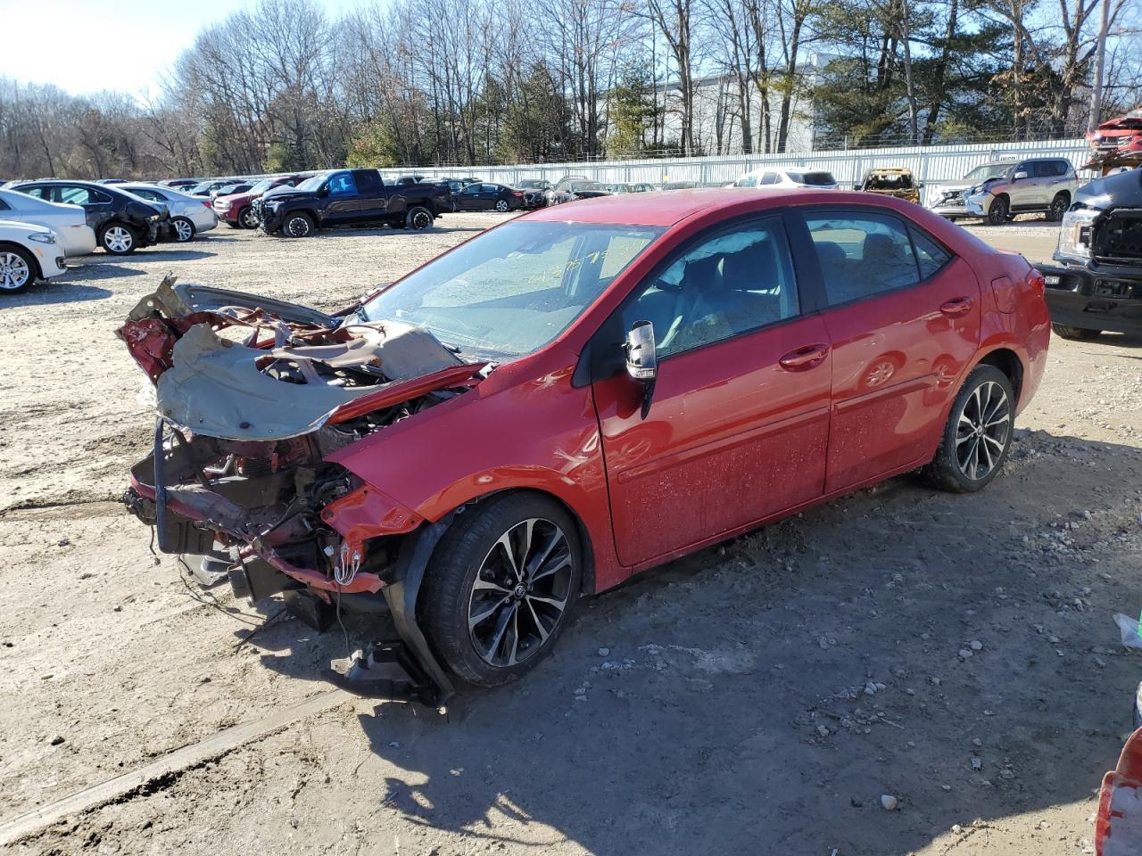 2019 TOYOTA COROLLA L