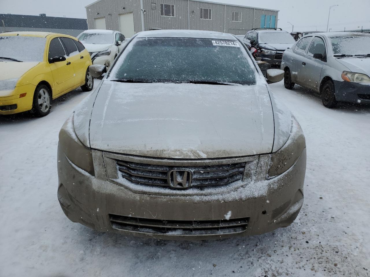 2010 HONDA ACCORD EXL - Image 5