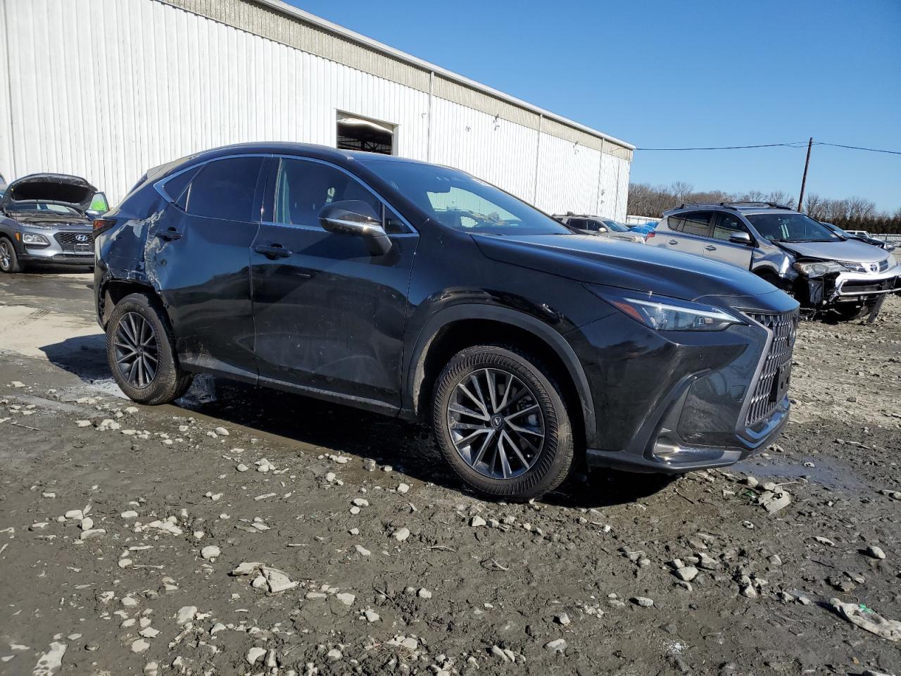 2023 LEXUS NX 350 - Image 4