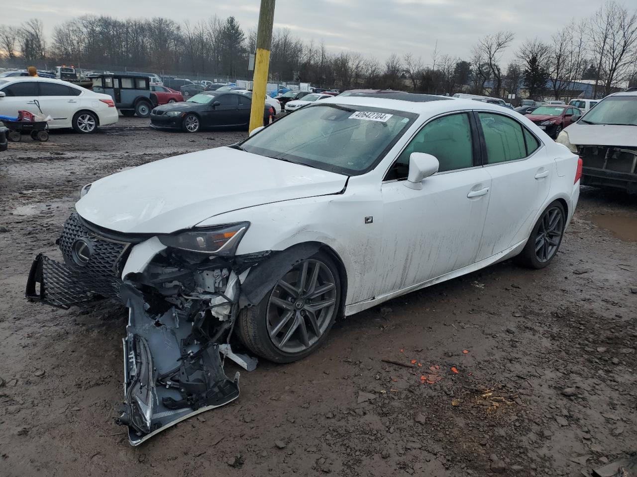 2019 LEXUS IS 300