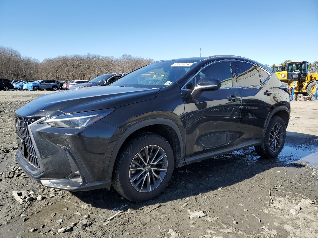 2023 LEXUS NX 350