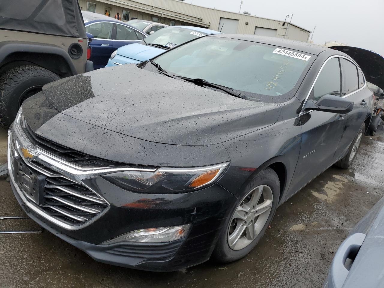 2019 CHEVROLET MALIBU LS