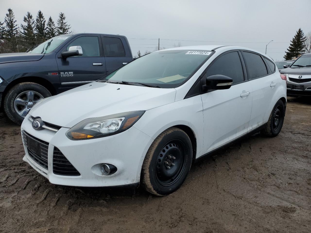 2014 FORD FOCUS SE car image