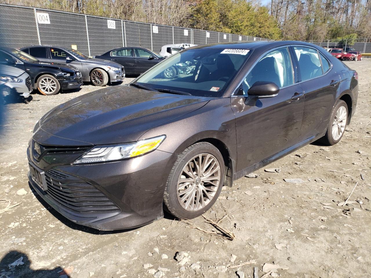 2019 TOYOTA CAMRY L