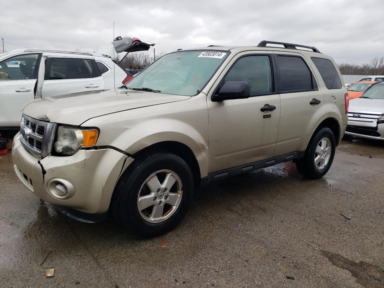 2012 FORD ESCAPE XLT car image