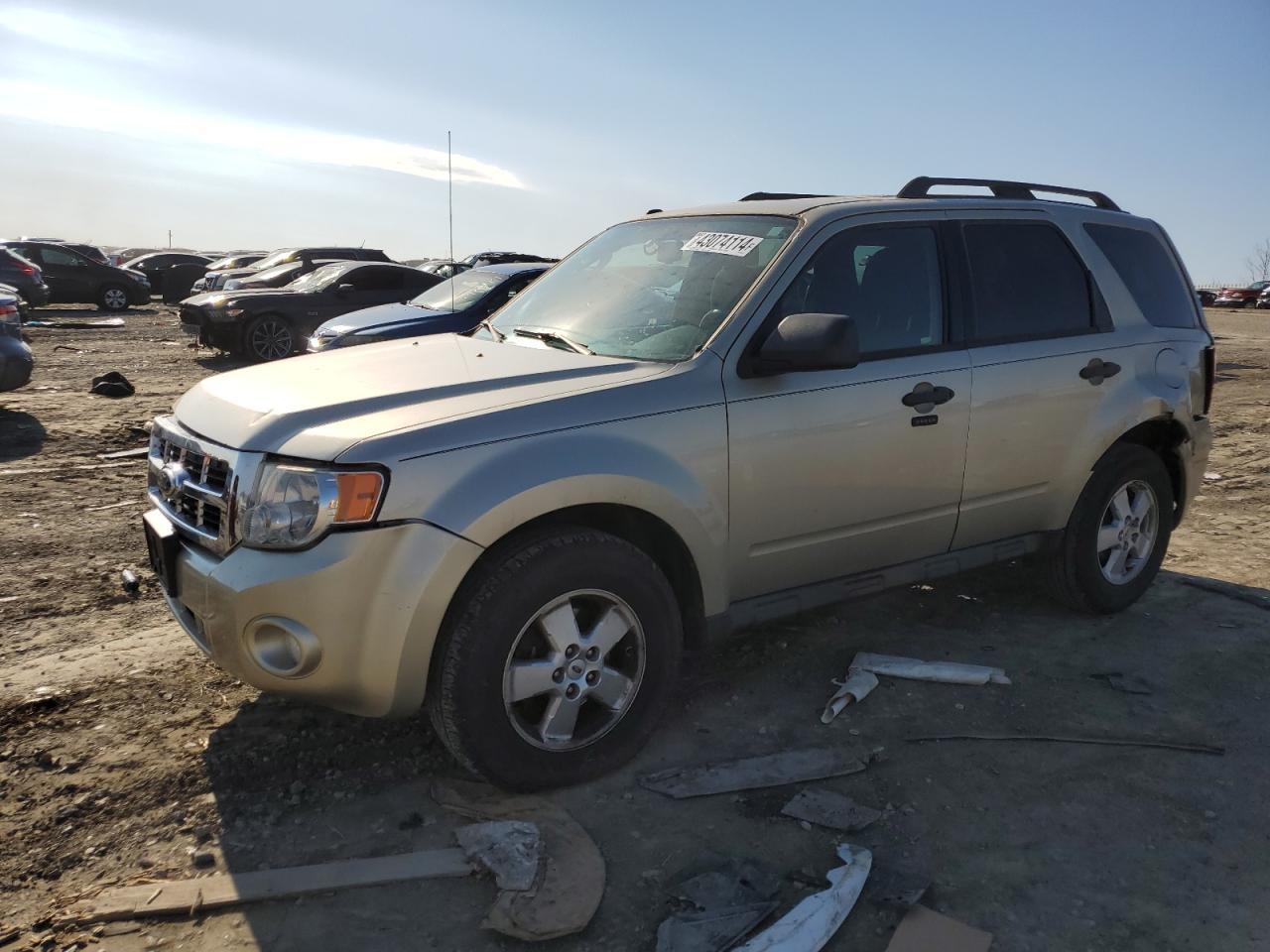 2010 FORD ESCAPE XLT