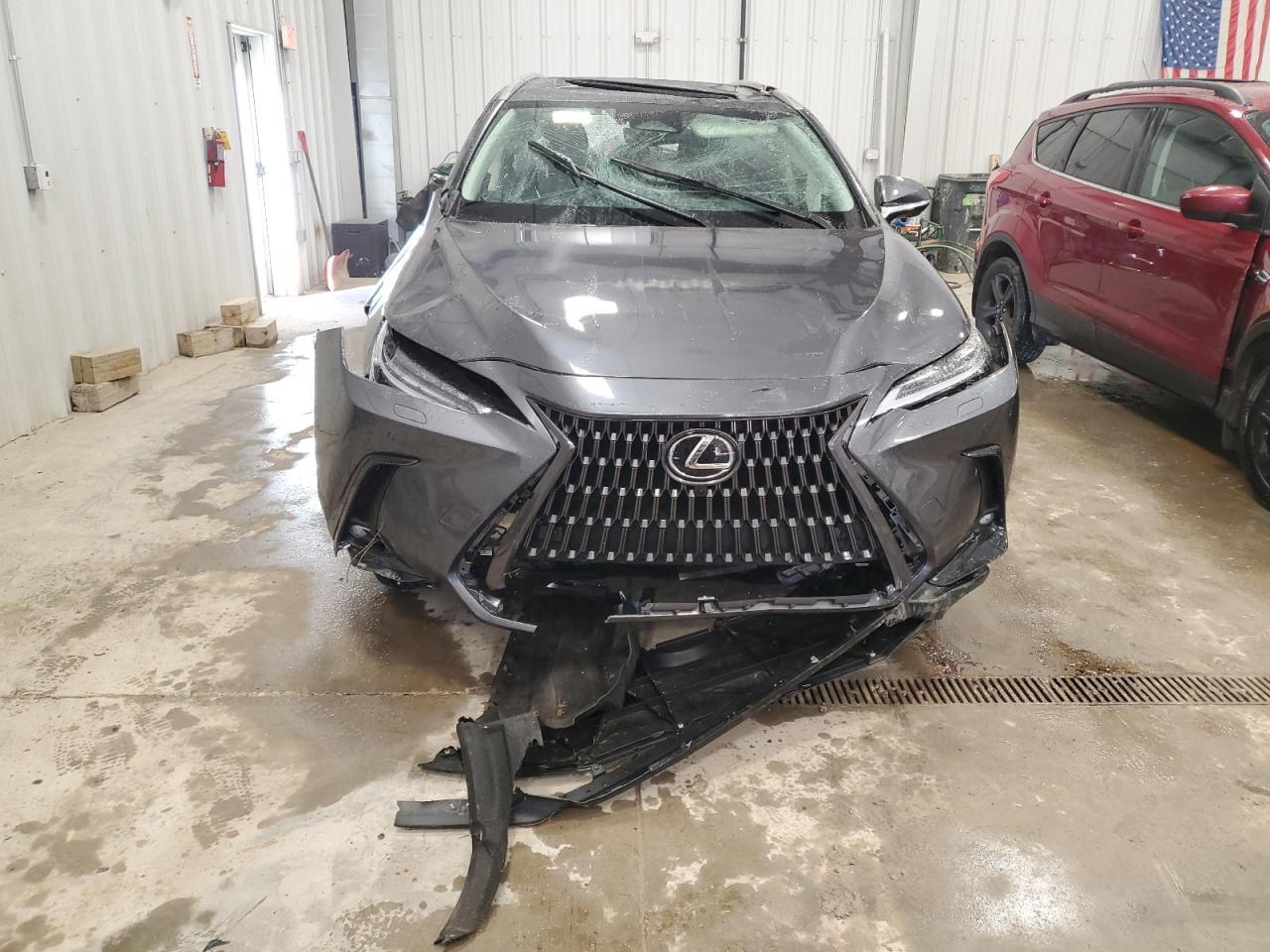 2023 LEXUS NX 350 - Фото 5