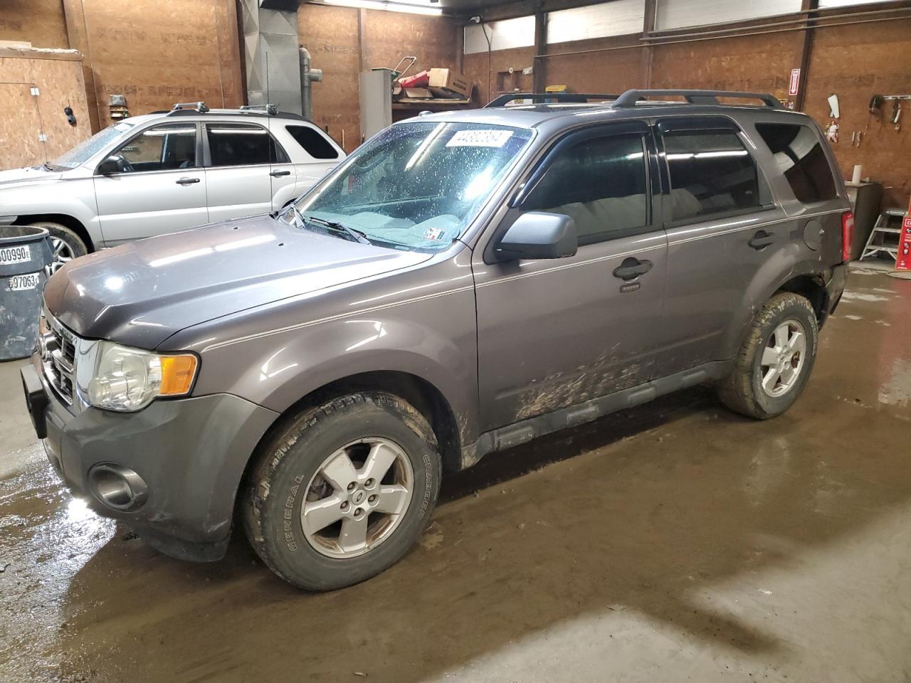 2010 FORD ESCAPE XLT