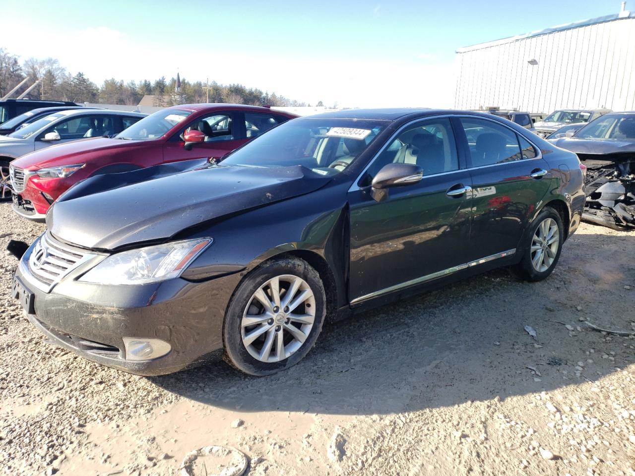 2011 LEXUS ES 350 car image