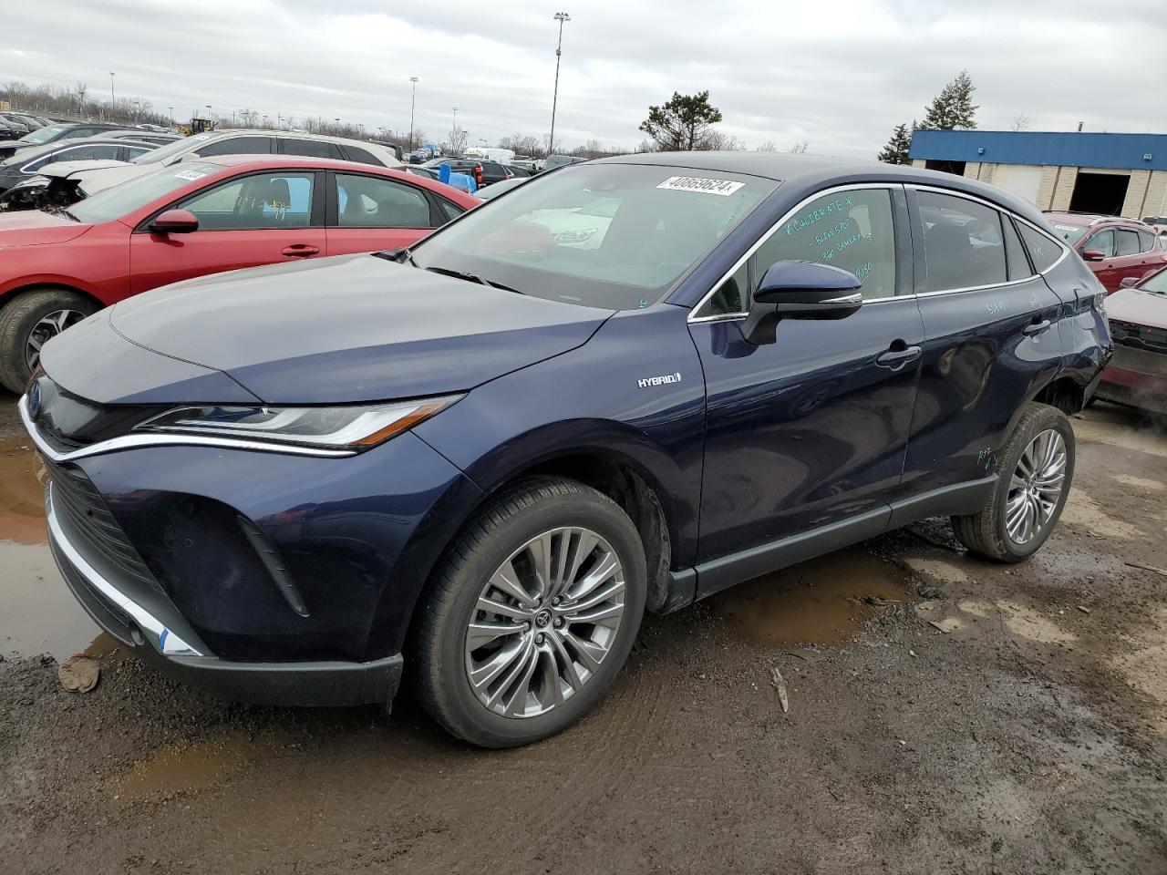 2021 TOYOTA VENZA LE car image