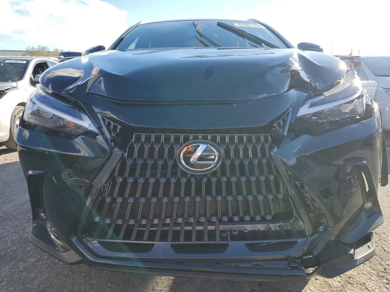 2024 LEXUS NX 350H BA - Фото 5