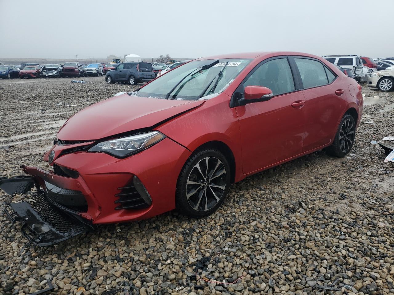 2019 TOYOTA COROLLA L