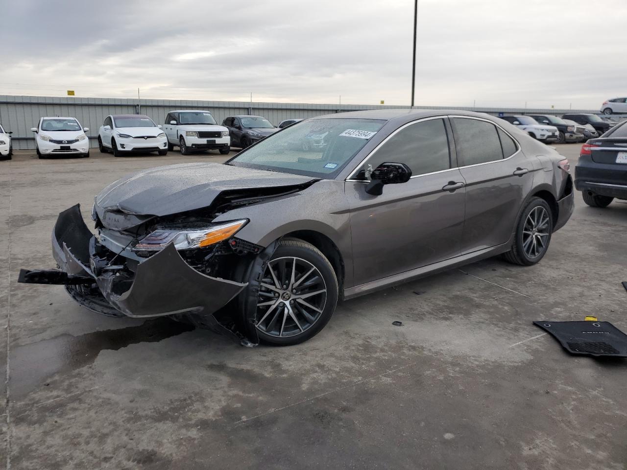 2024 TOYOTA CAMRY XLE car image