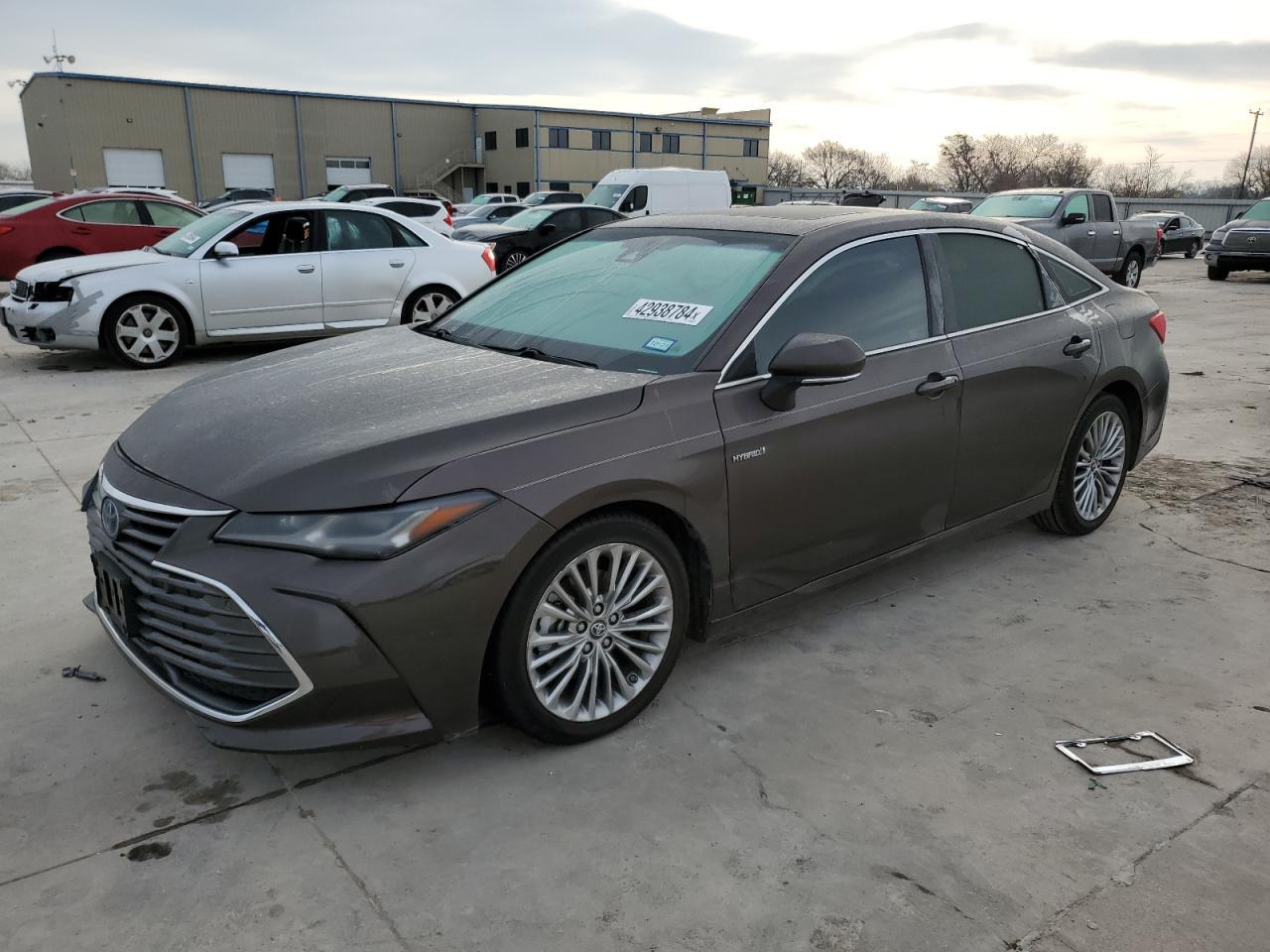 2019 TOYOTA AVALON XLE