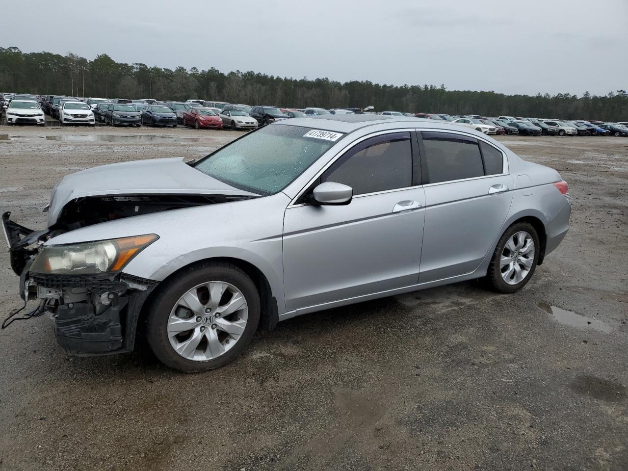 2010 HONDA ACCORD EXL