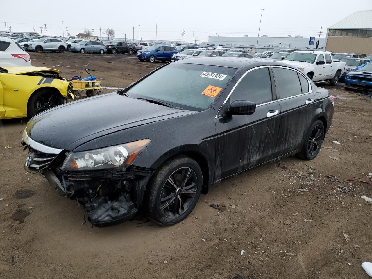2012 HONDA ACCORD EXL