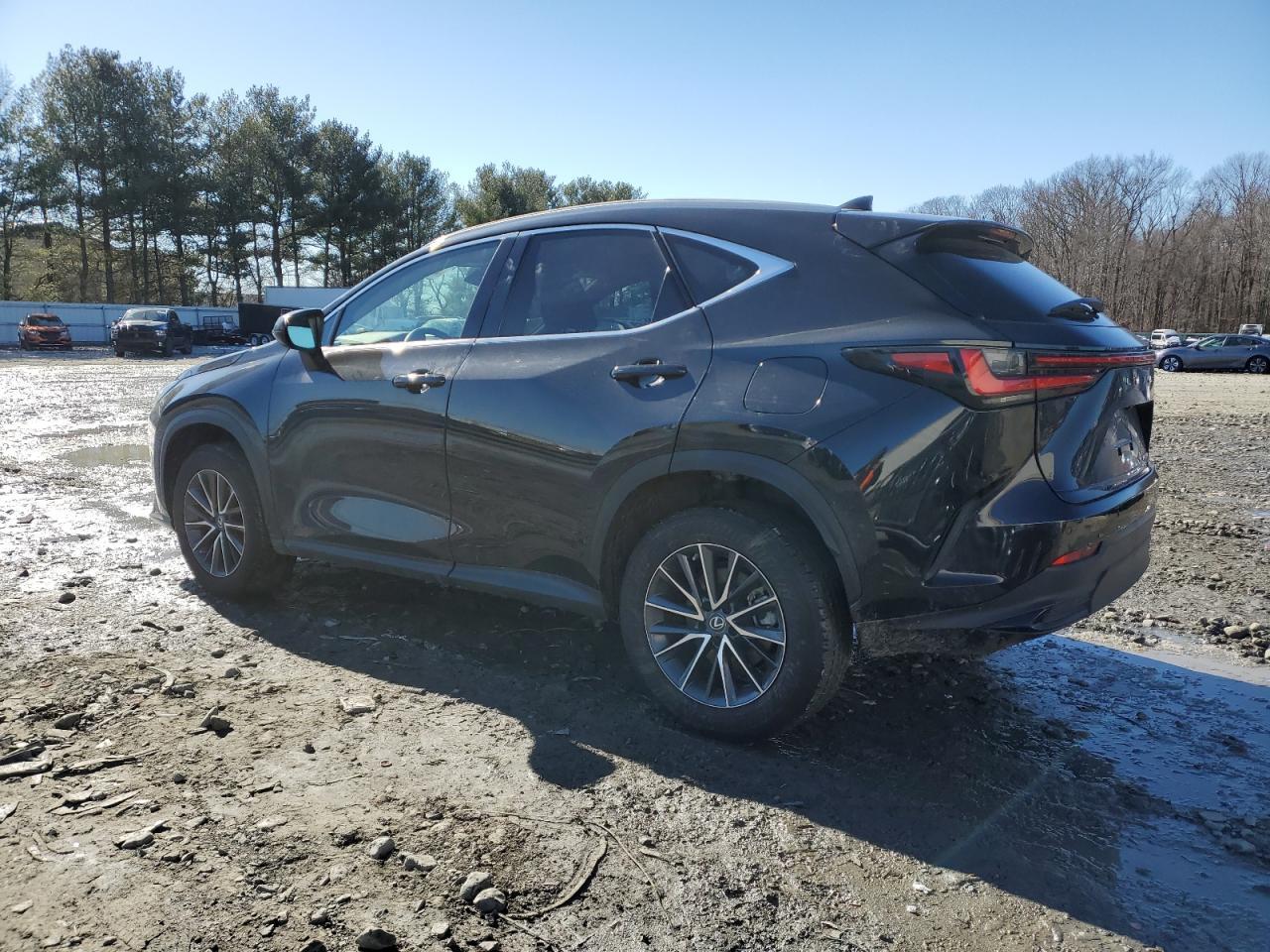 2023 LEXUS NX 350 - Image 2
