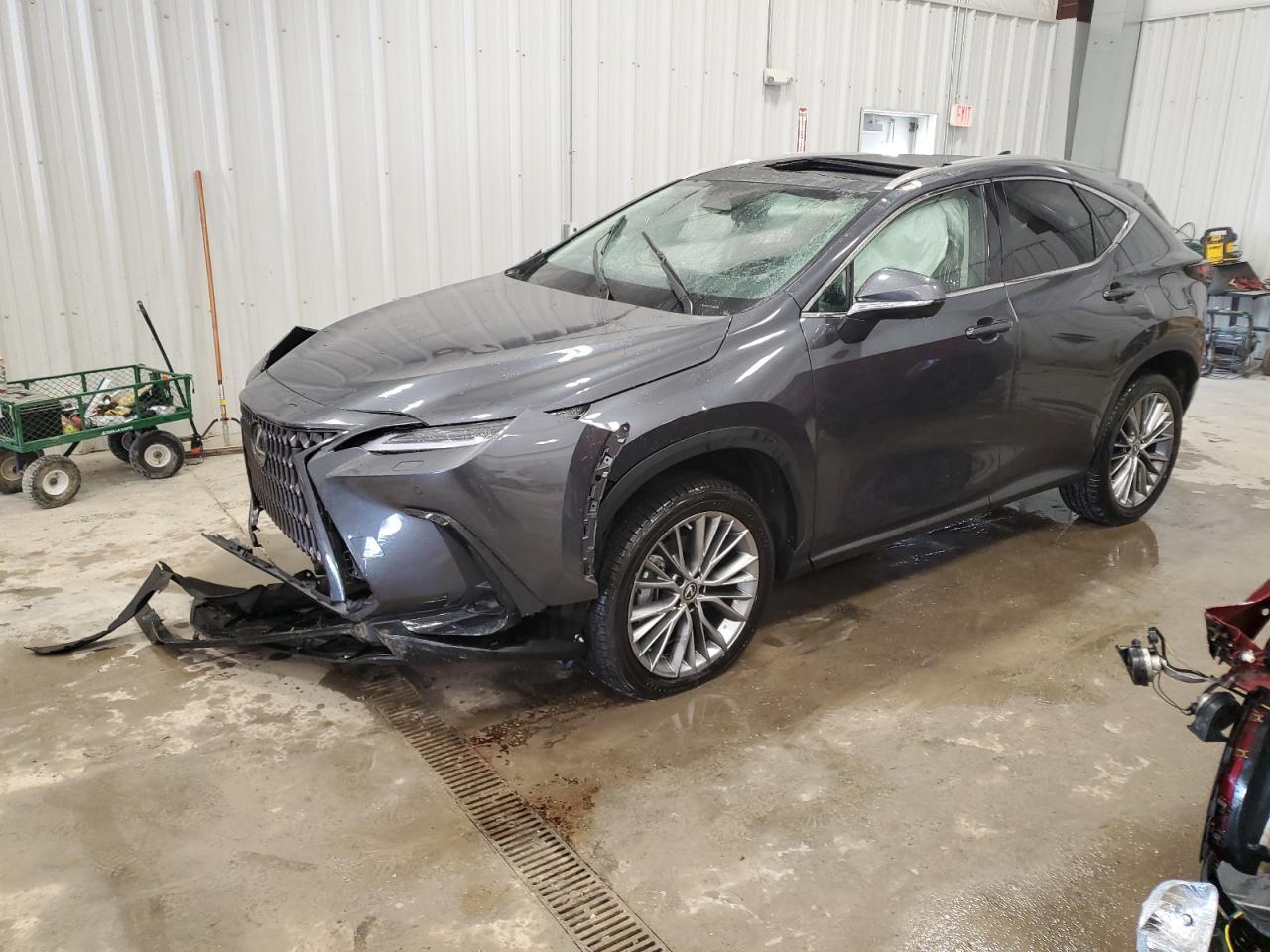 2023 LEXUS NX 350