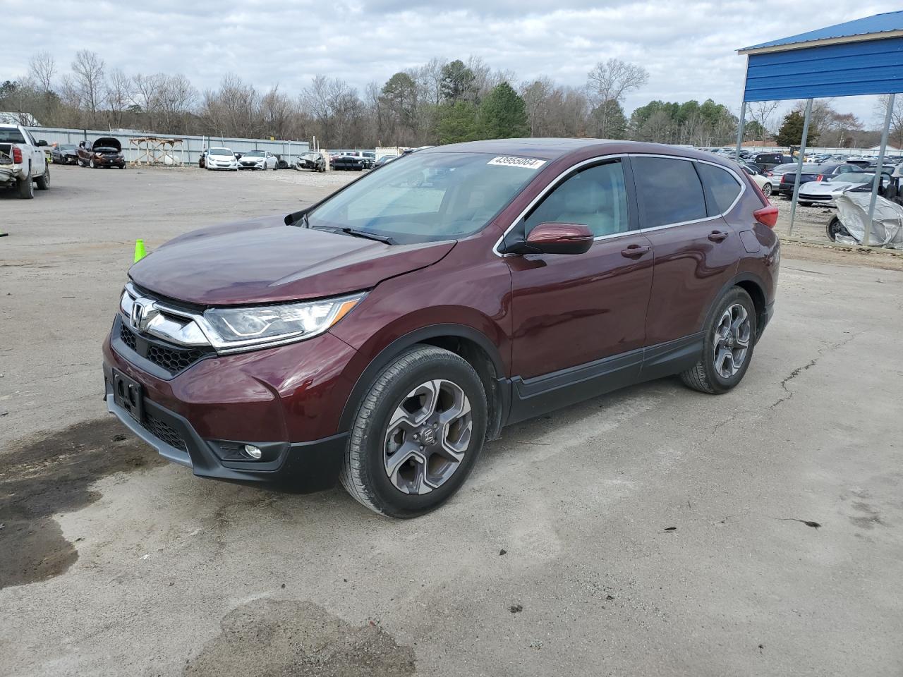 2019 HONDA CR-V EXL