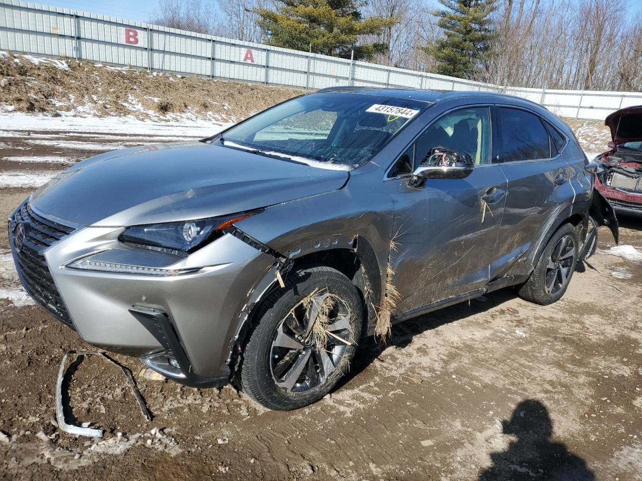 2020 LEXUS NX 300H