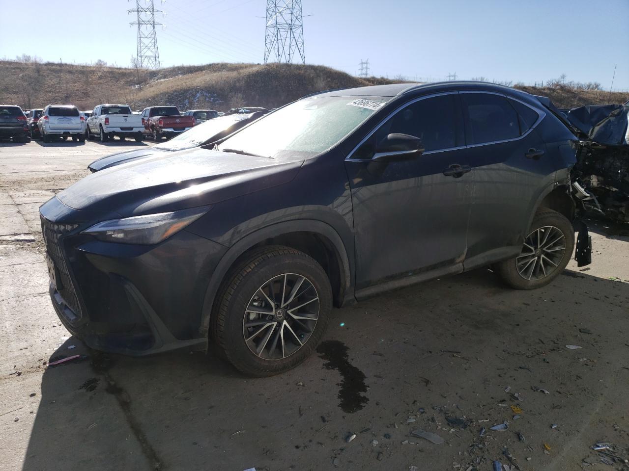 2024 LEXUS NX 350H BA