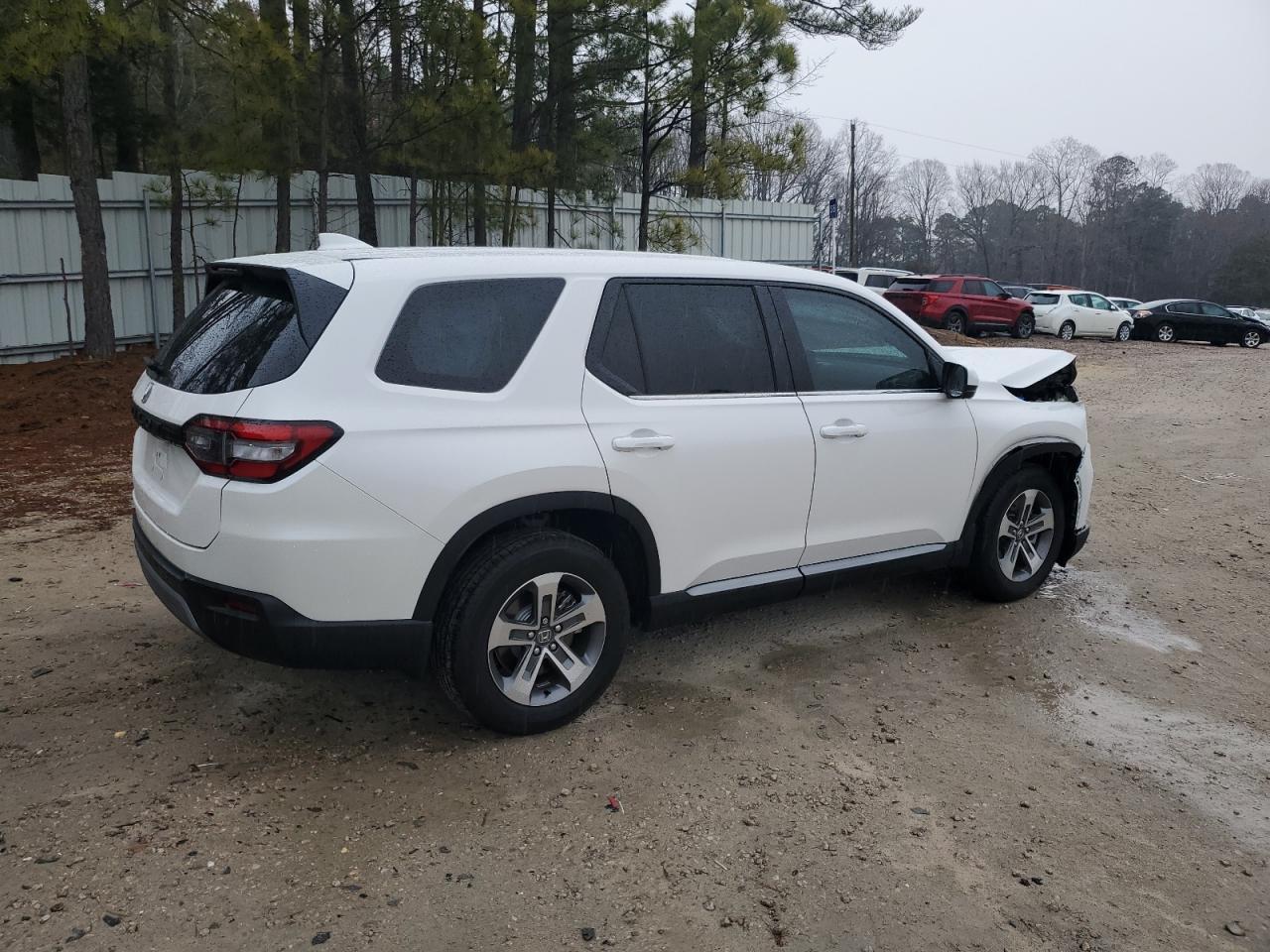 2024 HONDA PILOT EXL - Image 3