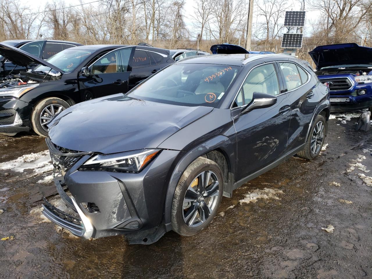 2023 LEXUS UX 250H PR car image