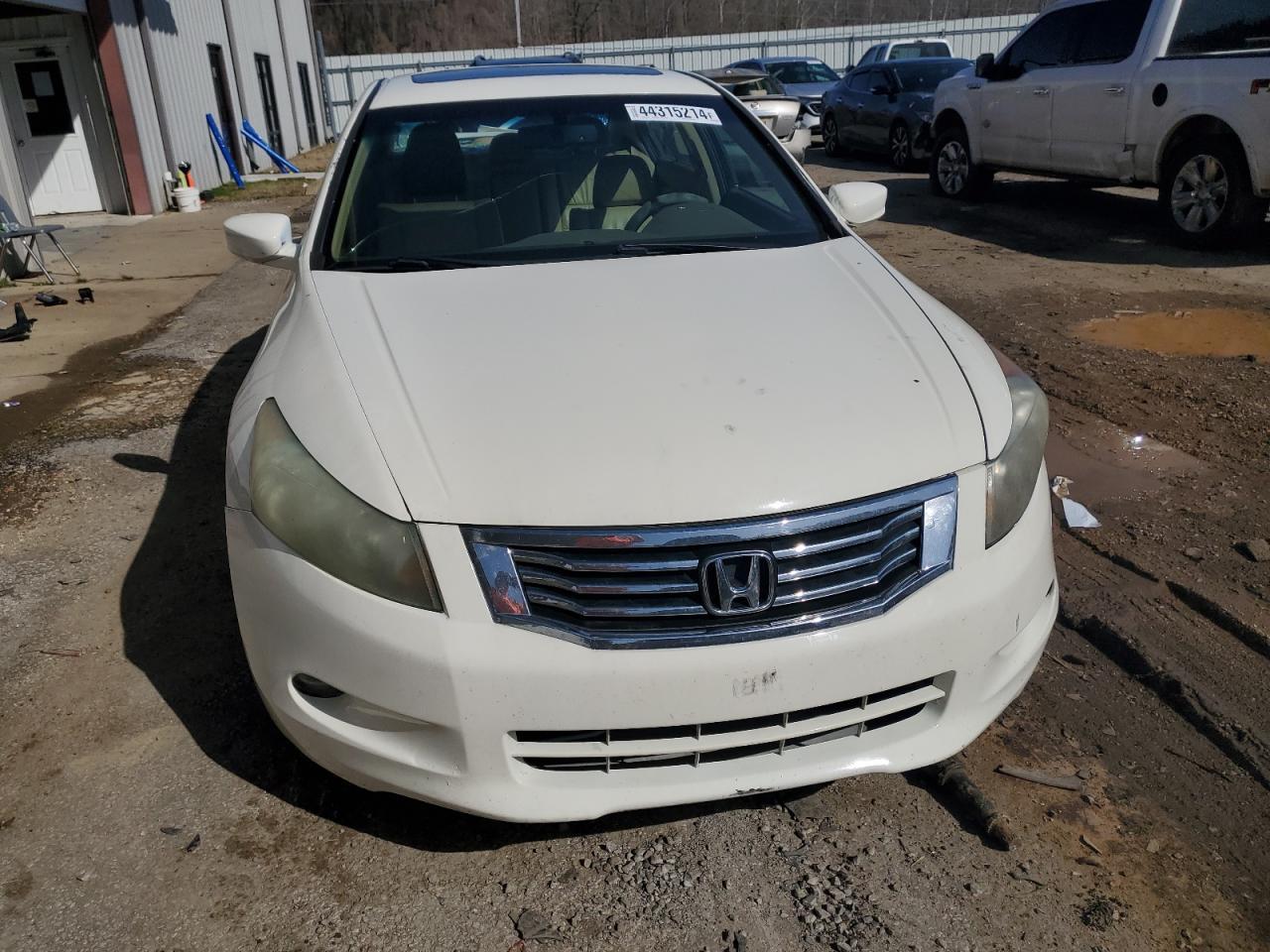 2010 HONDA ACCORD EXL - Фото 5