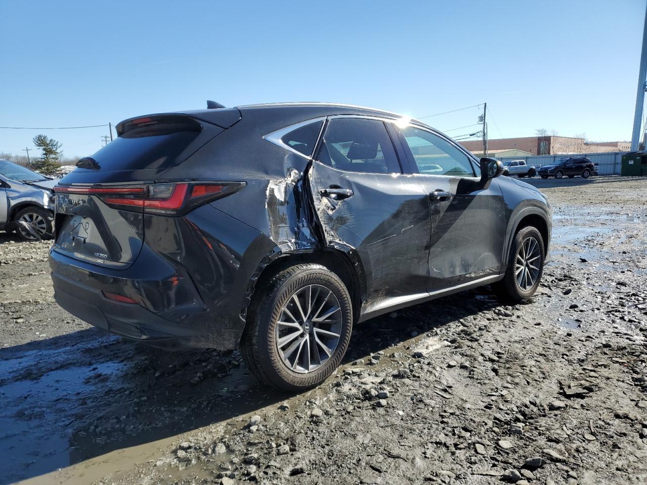 2023 LEXUS NX 350 - Image 3