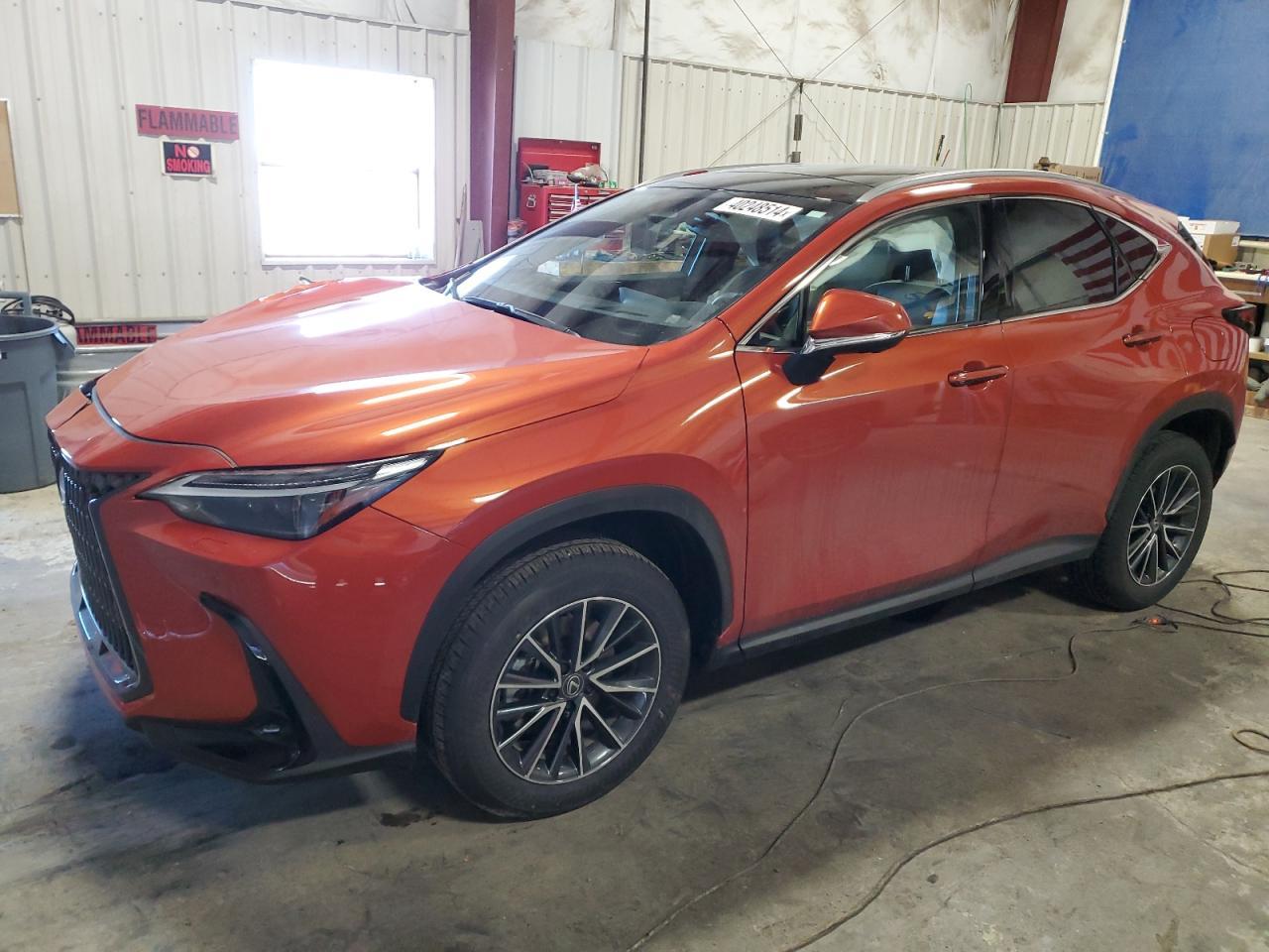 2024 LEXUS NX 350H BA