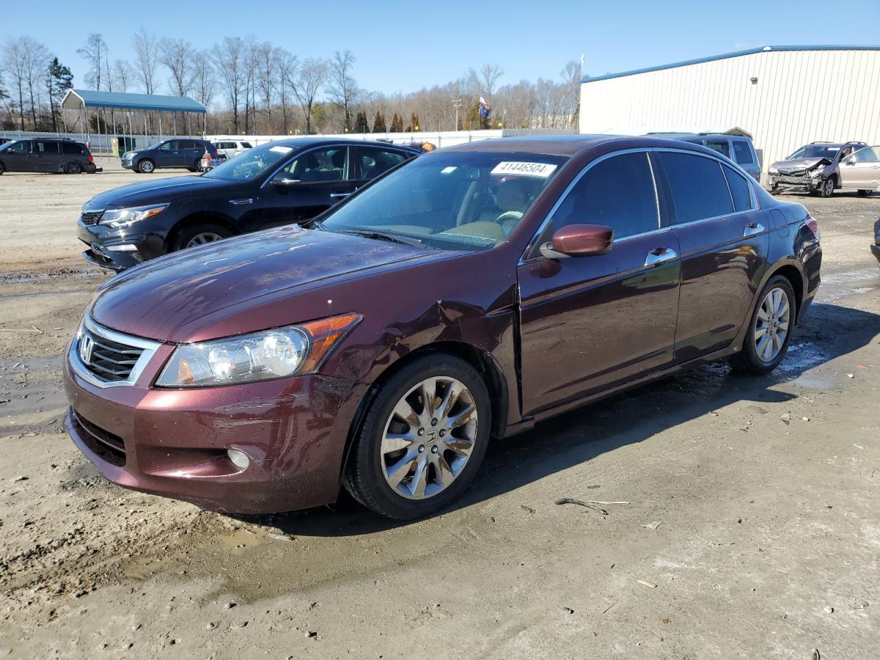 2010 HONDA ACCORD EXL