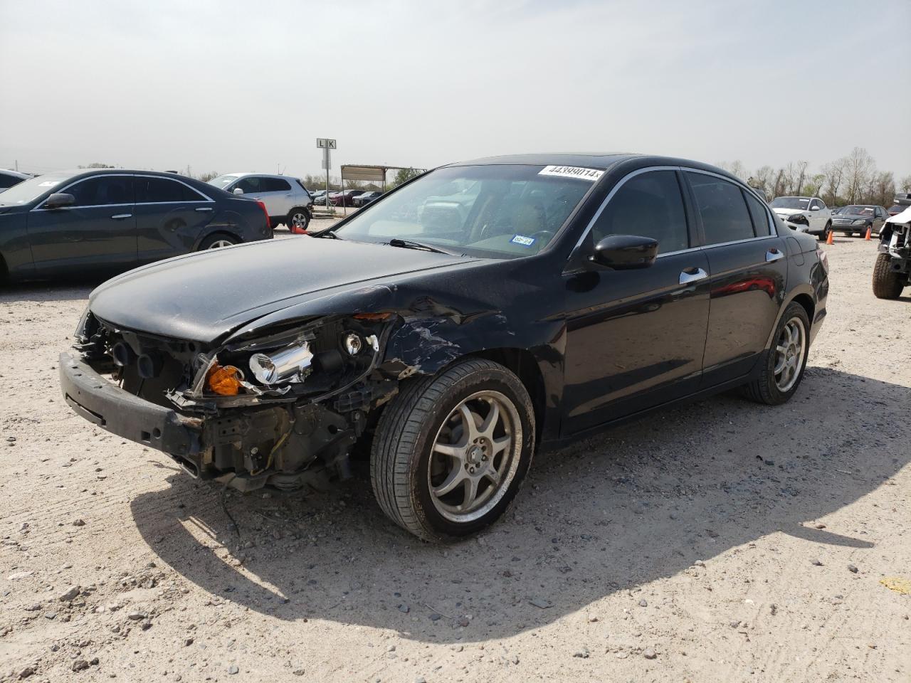 2010 HONDA ACCORD EXL