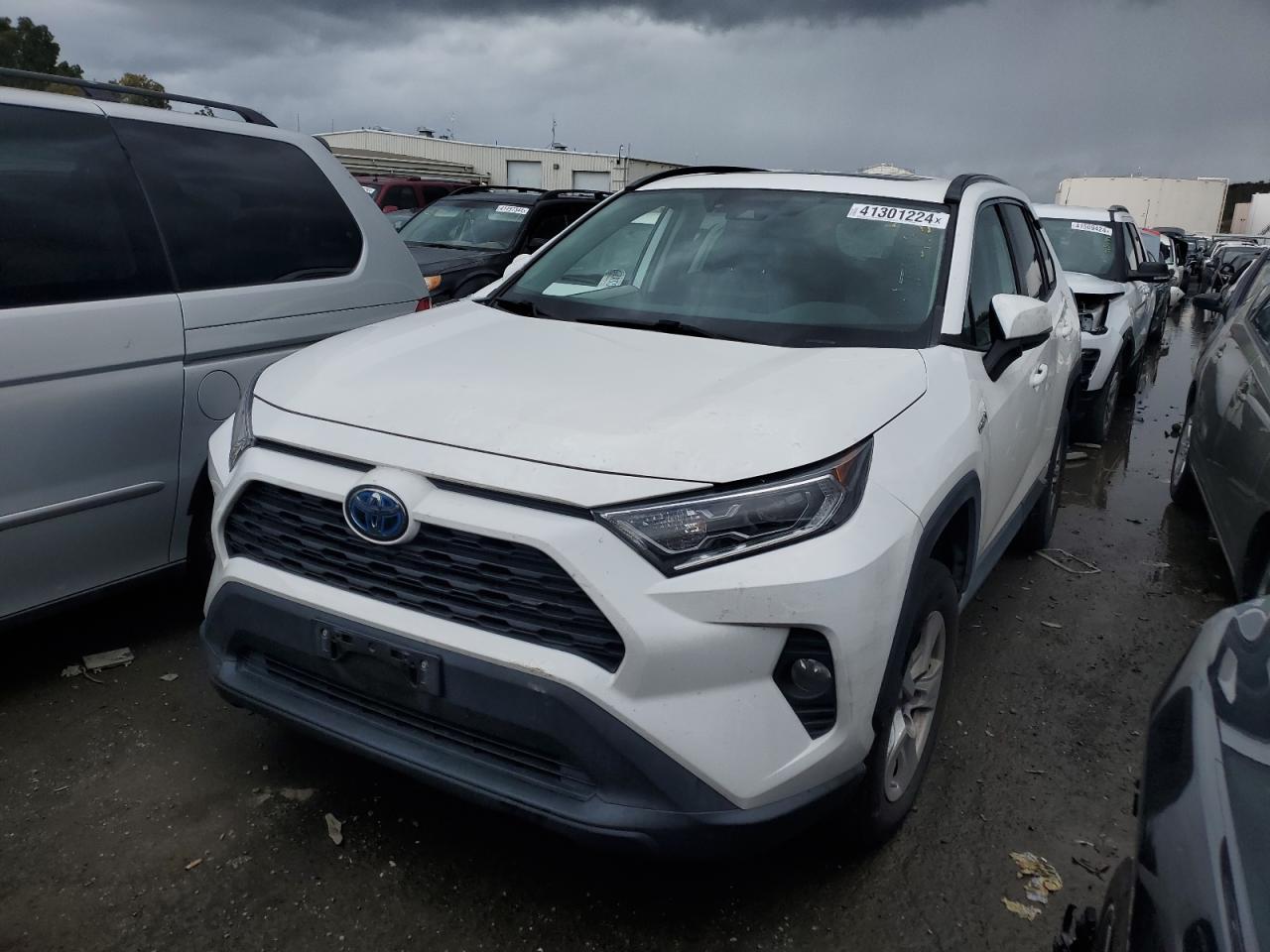 2019 TOYOTA RAV4 XLE car image