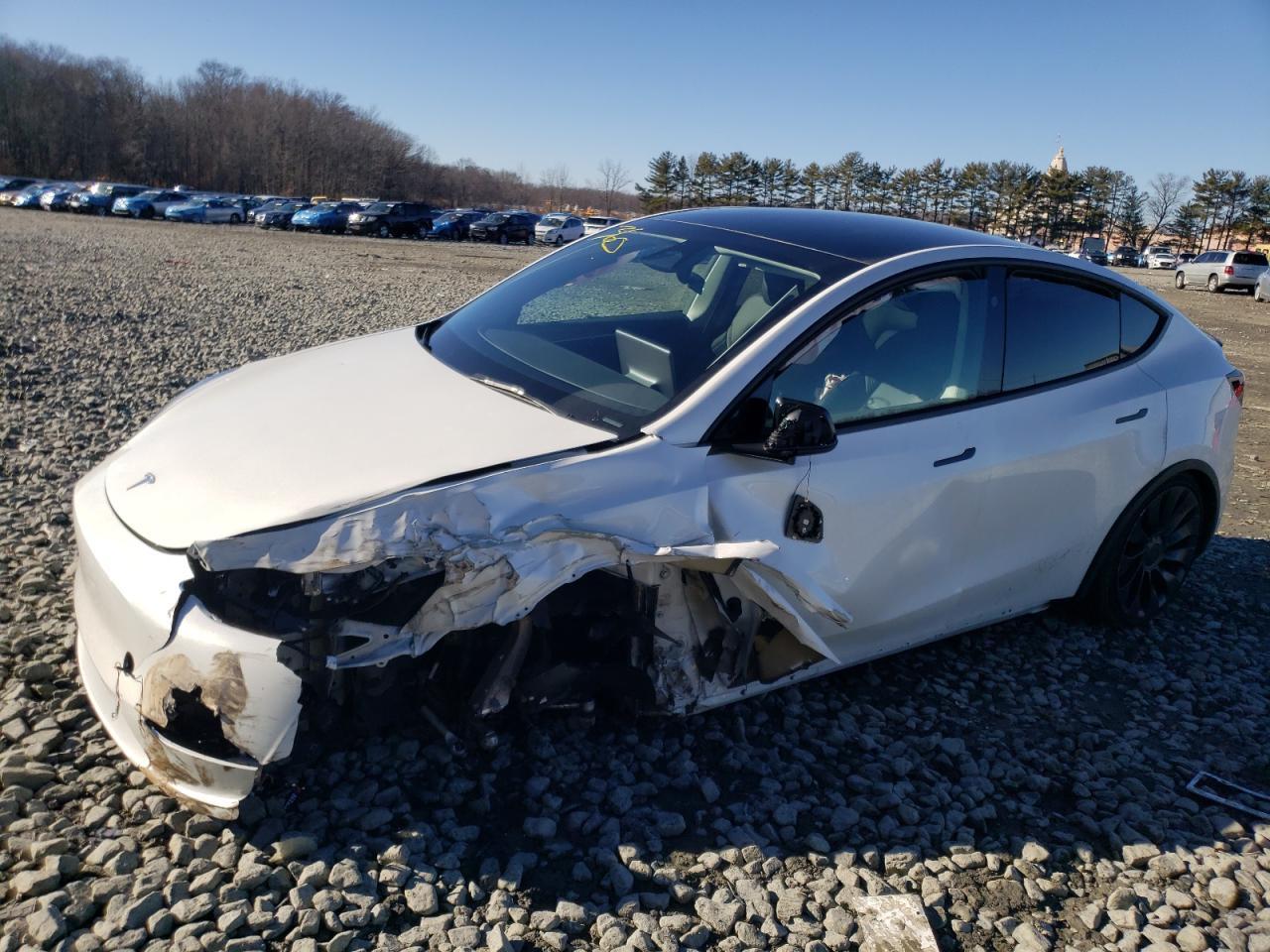 2023 TESLA MODEL Y