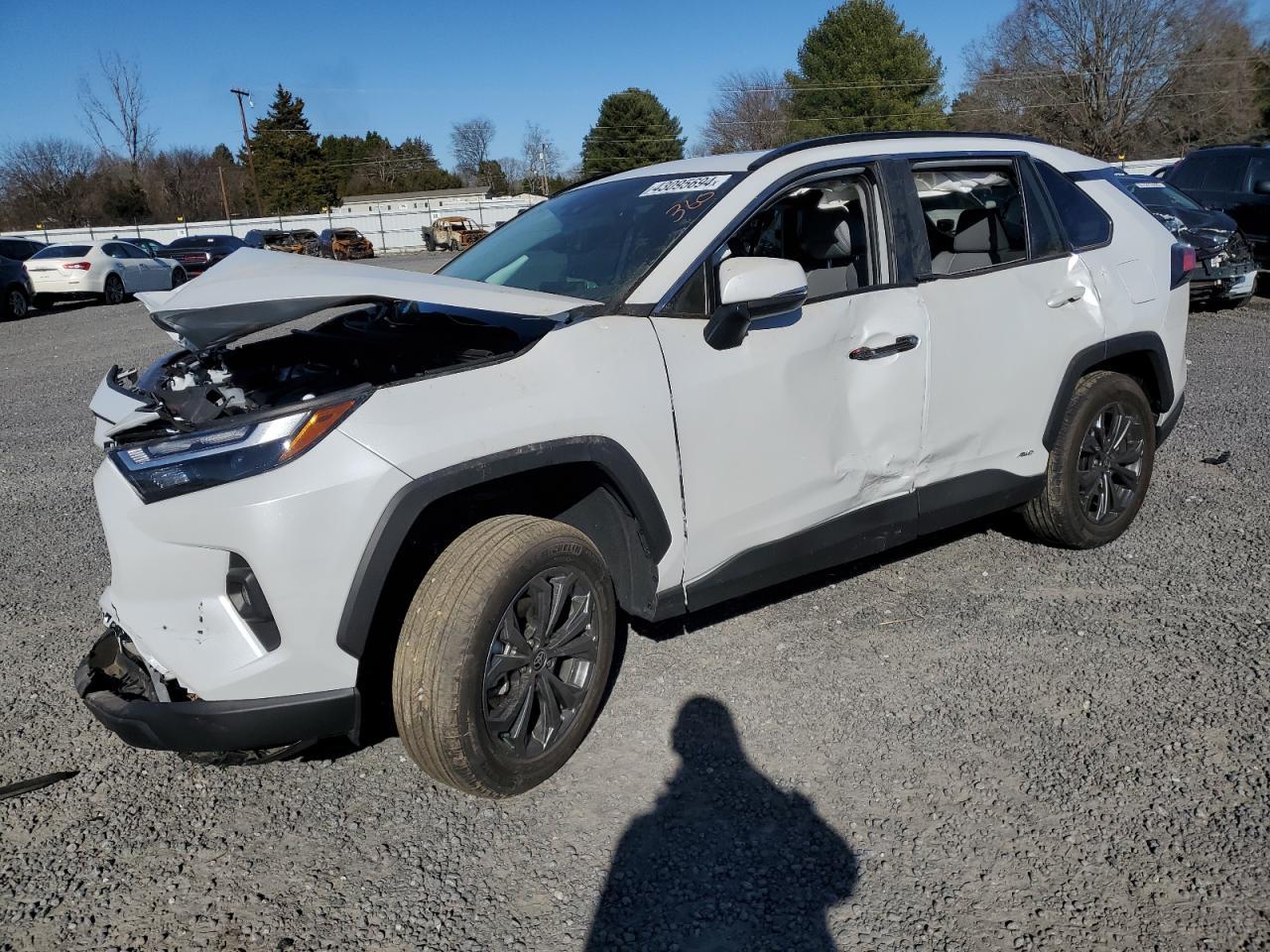 2023 TOYOTA RAV4 XLE P car image