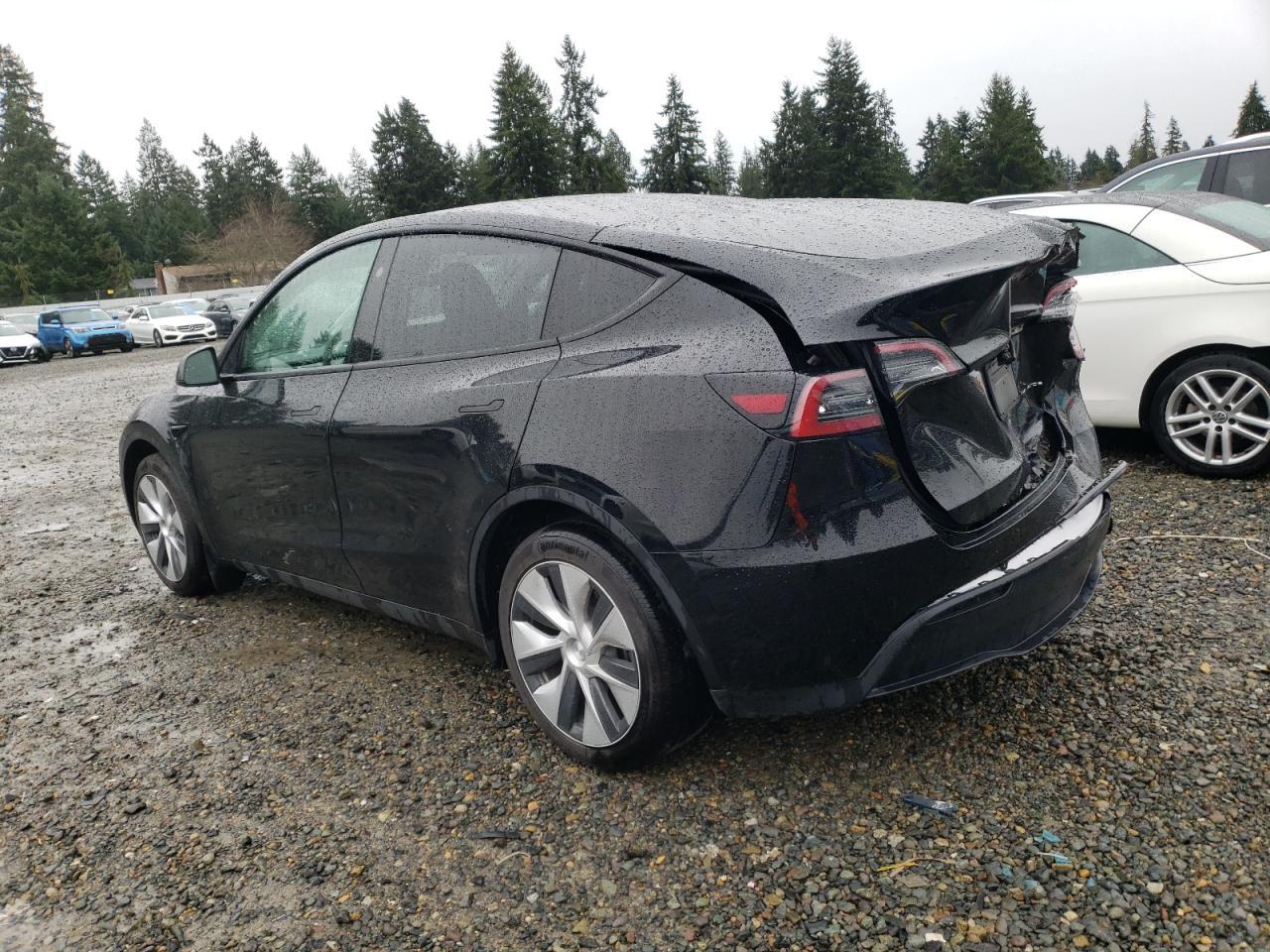 2023 TESLA MODEL Y - Фото 2