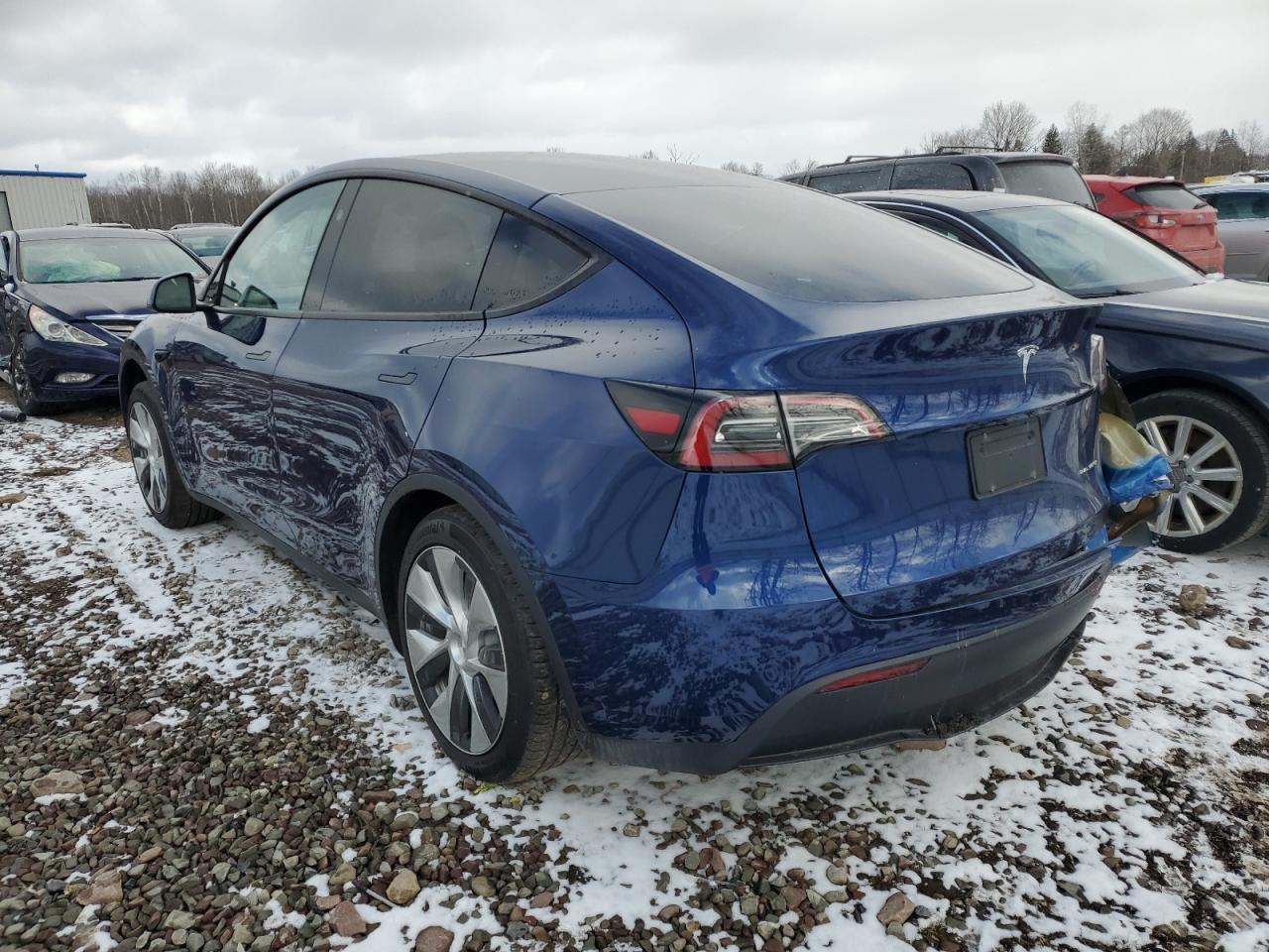2023 TESLA MODEL Y - Фото 2