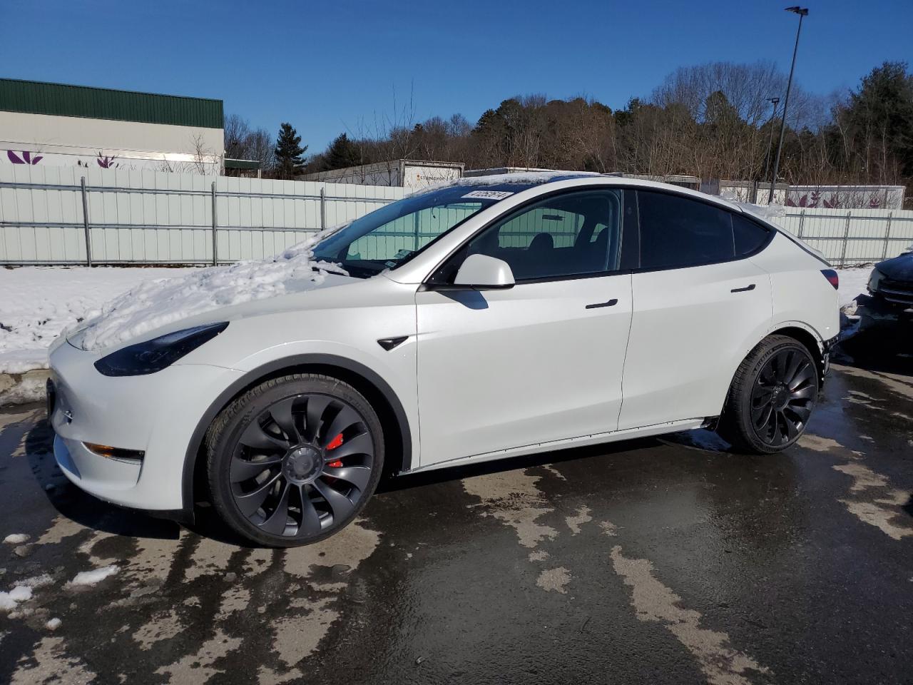 2023 TESLA MODEL Y