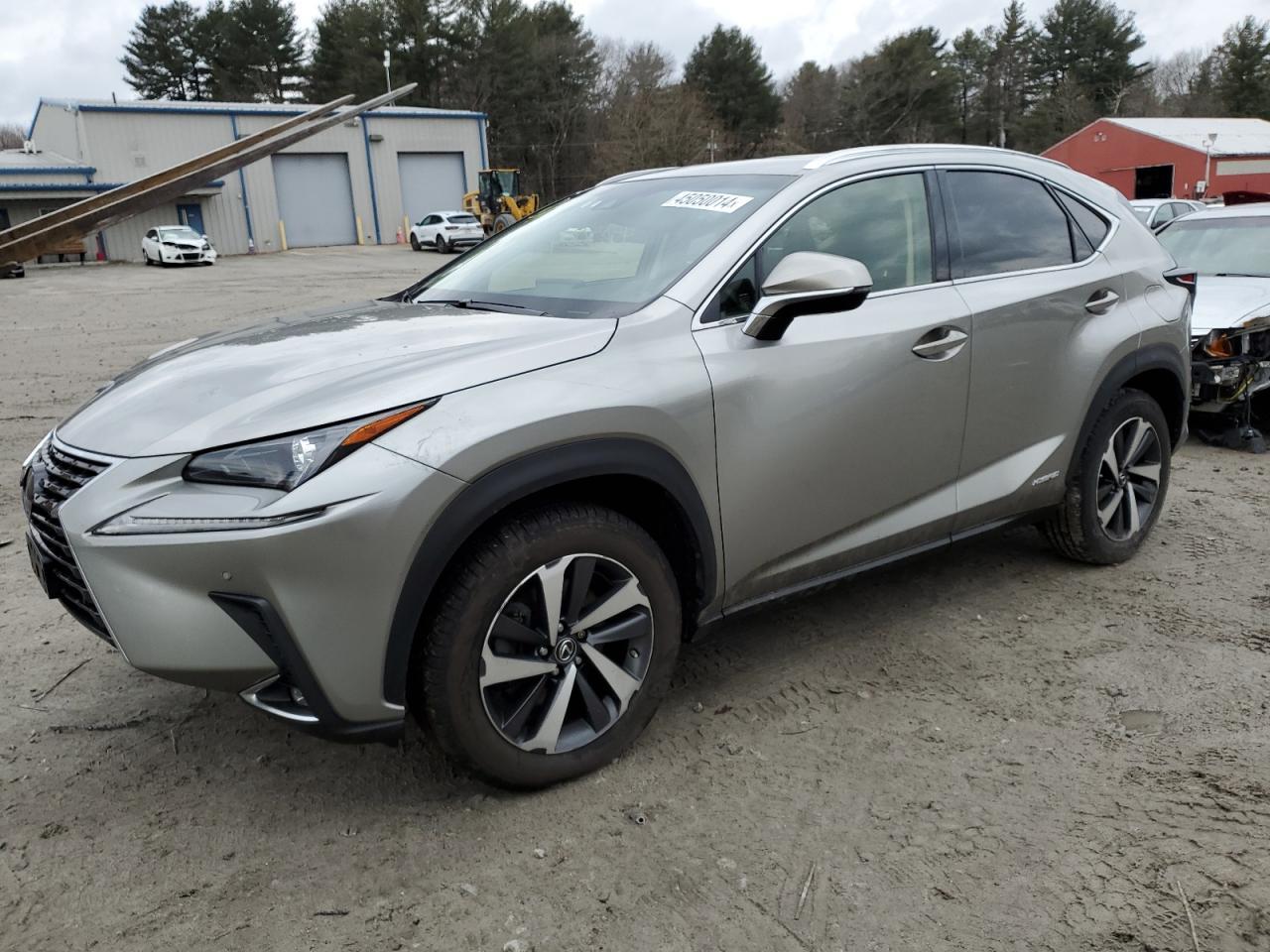 2019 LEXUS NX 300H car image