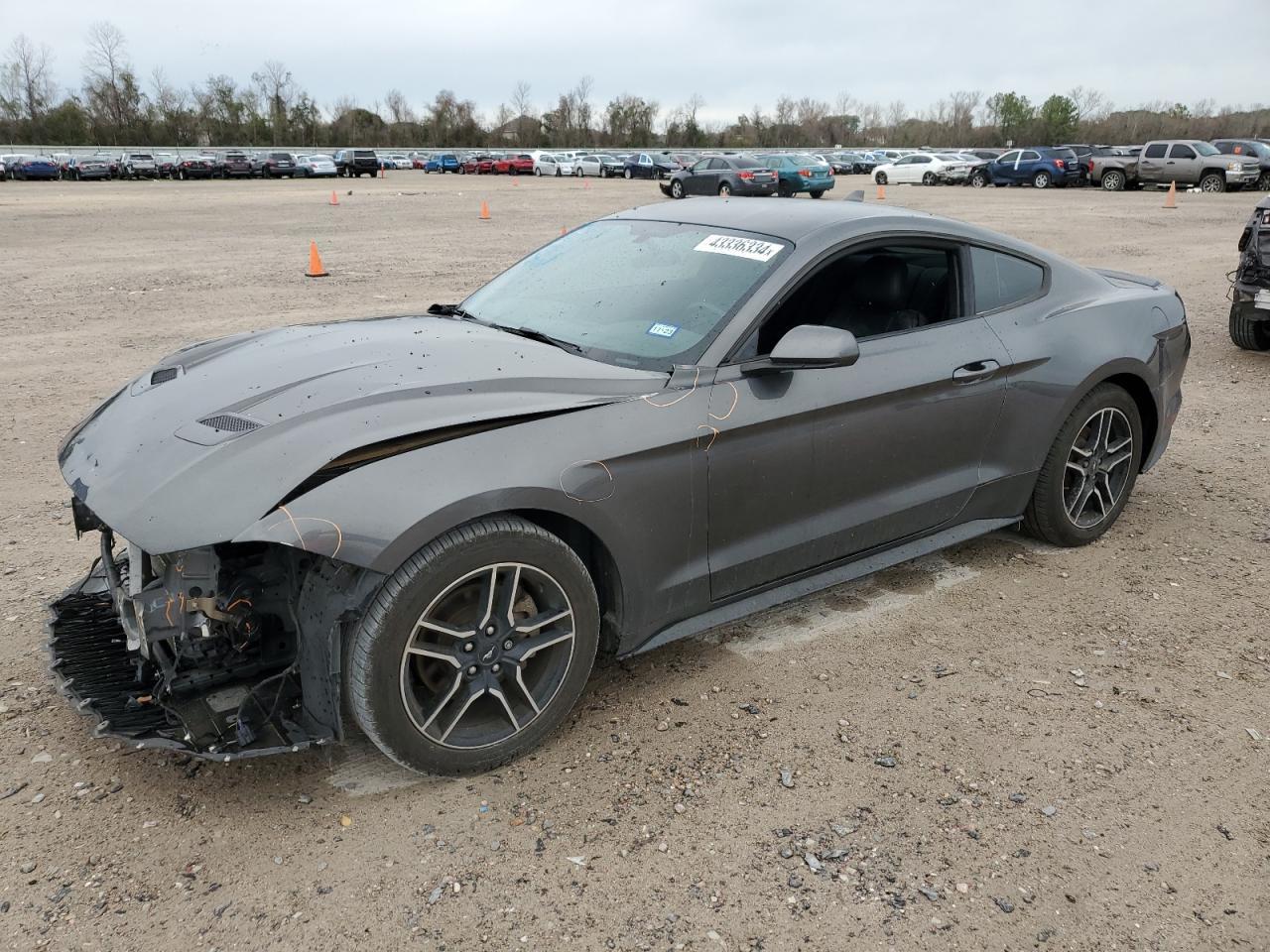 2020 FORD MUSTANG car image