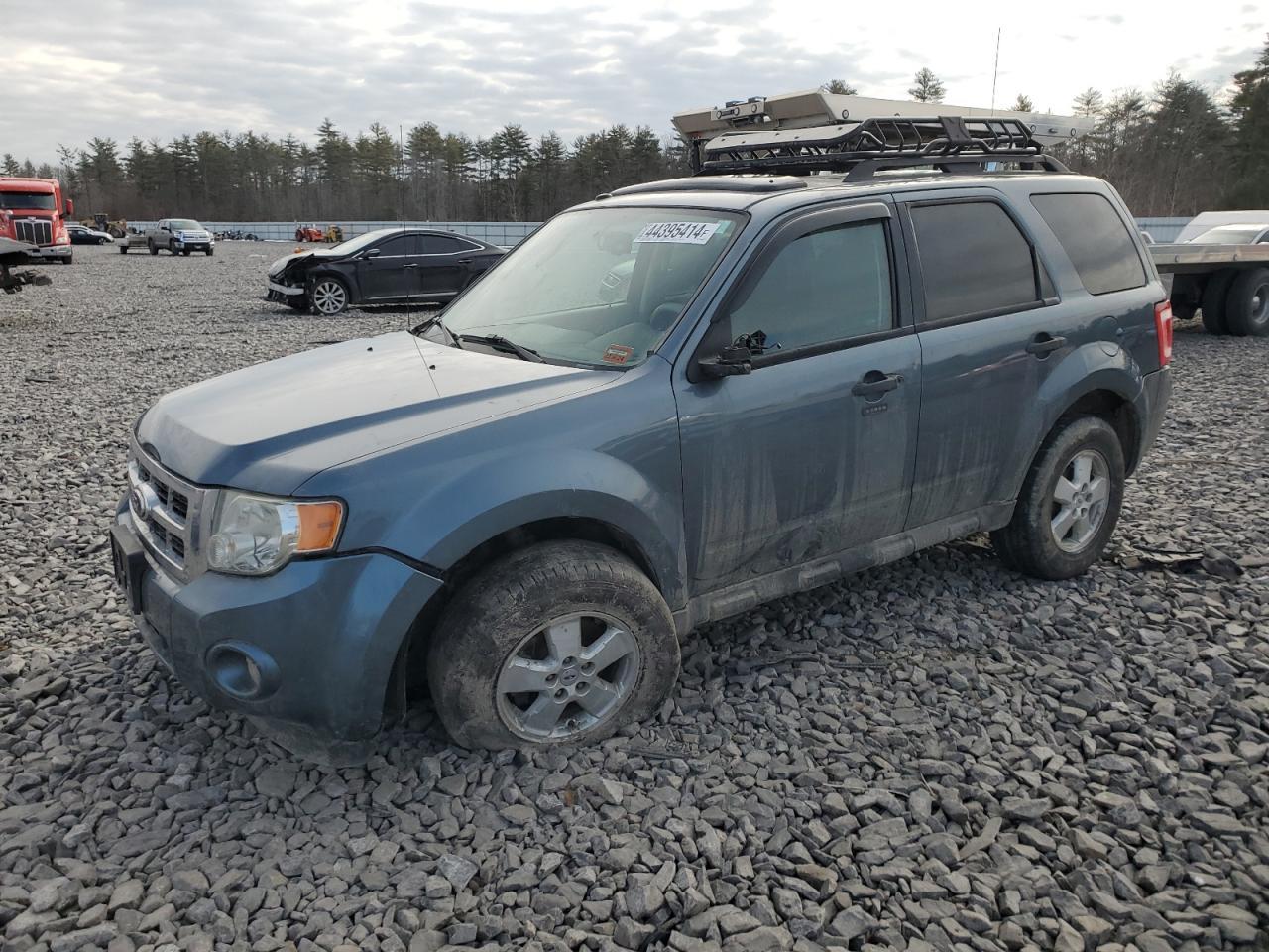2010 FORD ESCAPE XLT
