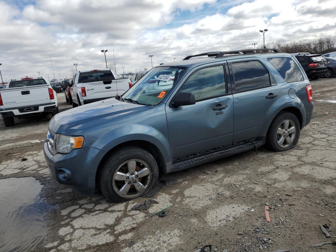 2011 FORD ESCAPE XLT car image