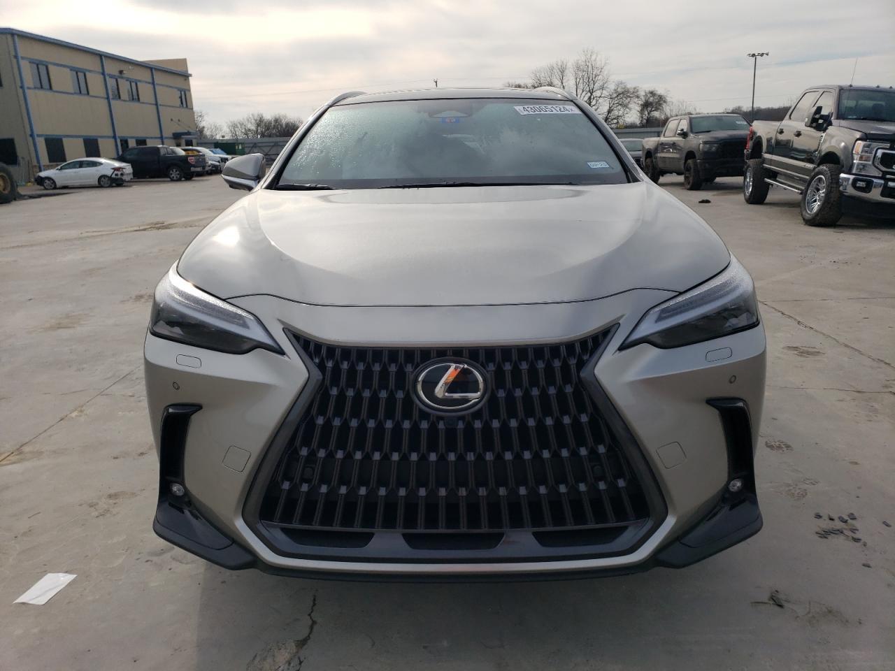 2024 LEXUS NX 350H BA - Image 5