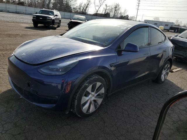 2023 TESLA MODEL Y car image